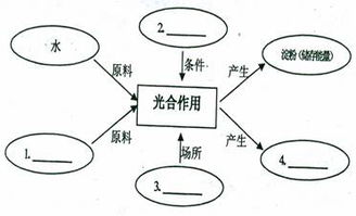 如圖甲表示春季晴天某密閉大棚內(nèi)一晝夜co2濃度的變化,圖乙曲線a表示某種植物在20 co2濃度為0.03 的環(huán)境中隨著光照強(qiáng)度的變化光合作用合成量的變化,在b點(diǎn)時(shí)改變條件