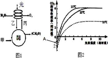 辣椒是我國(guó)栽培面積最大的蔬菜作物之一.圖1是辣椒植株光合作用示意圖,圖2是將辣椒植株置于co2濃度適宜