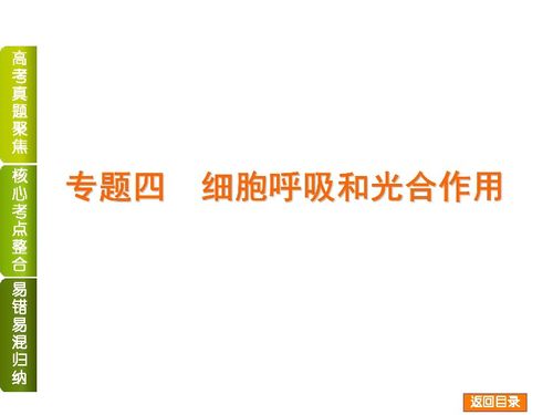 2014屆高考生物二輪復習 細胞呼吸和光合作用專題精講