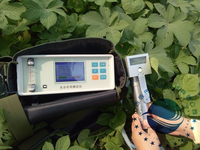 探秘光合作用的精密窗口——解析光合作用測定儀的工作原理與應(yīng)用